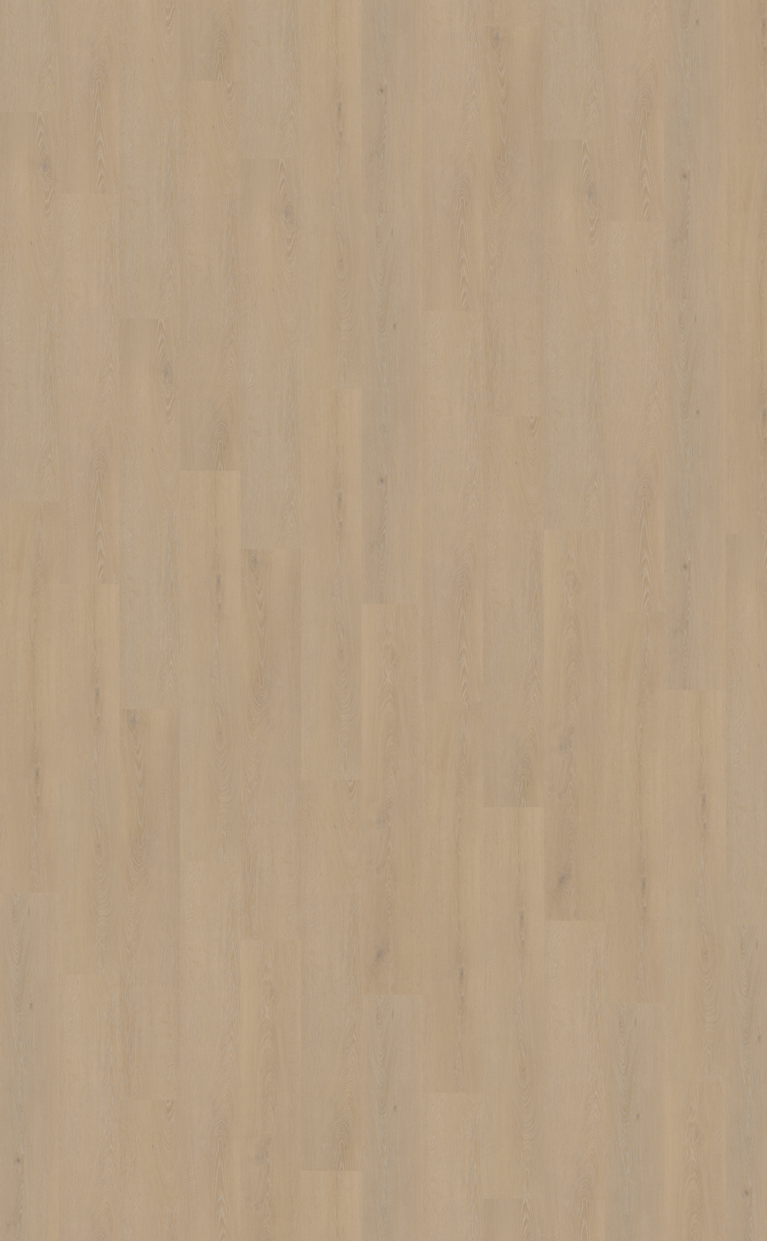 Cervo 200 | Rigid Click